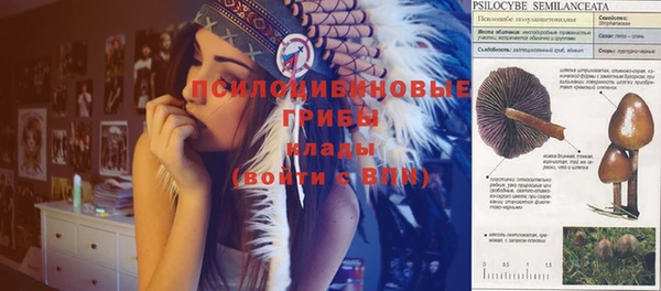 стаф Покровск